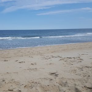 Meet your Posher, Patty